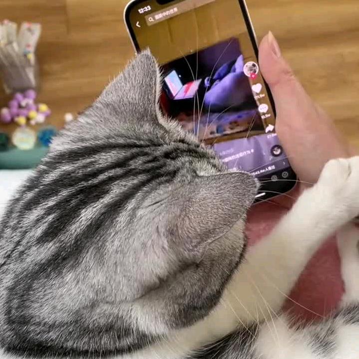 大海里渴死的鱼