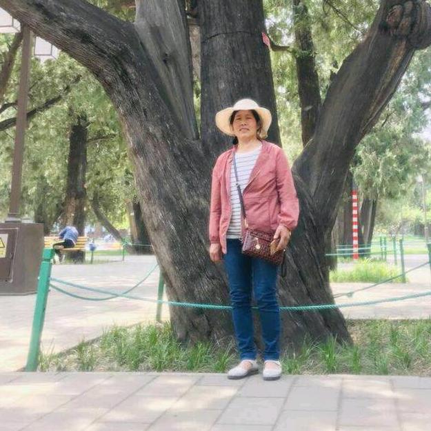 又见梨花开879