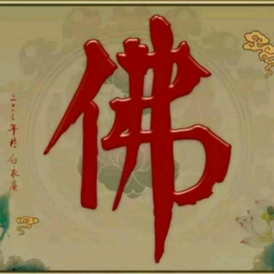 智贤🌹🌹🌹