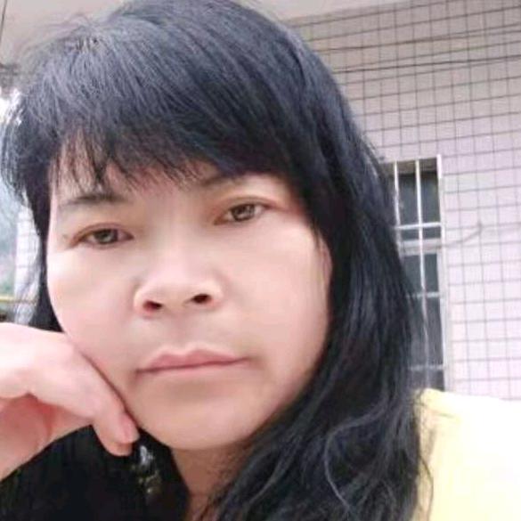 杨柳依依