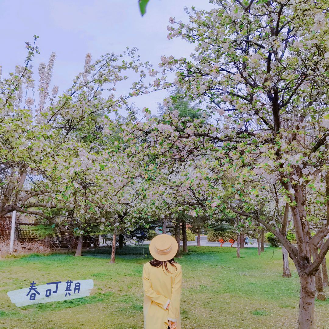 零点团购