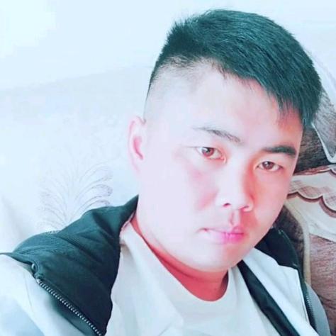 河北宏图茂盛犬舍~王小刚󾓭️