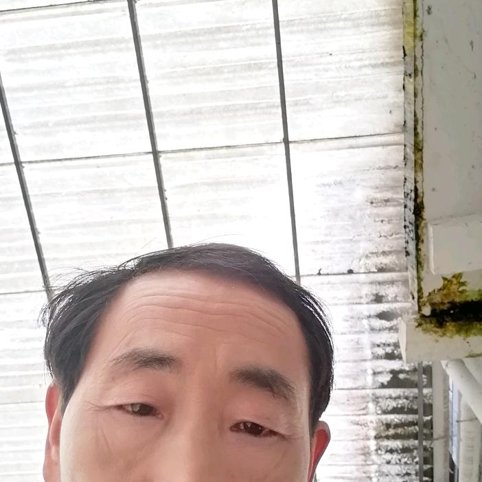 金玉满堂
