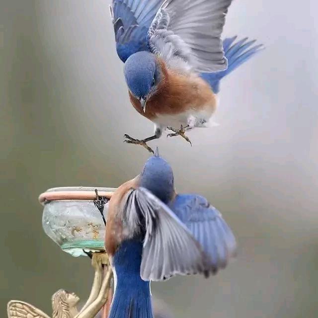 1708785661
