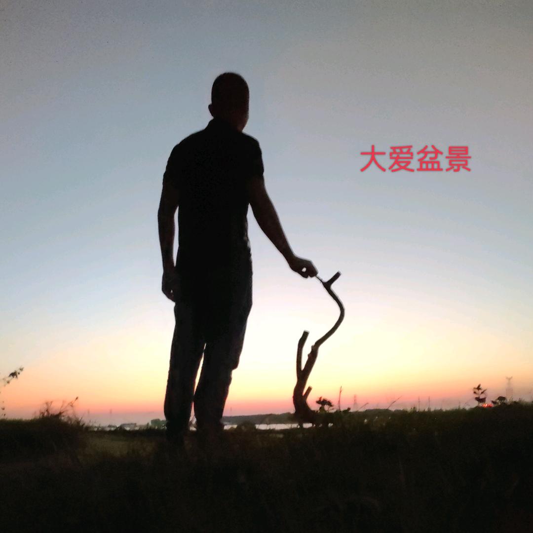 大爱（盆景）