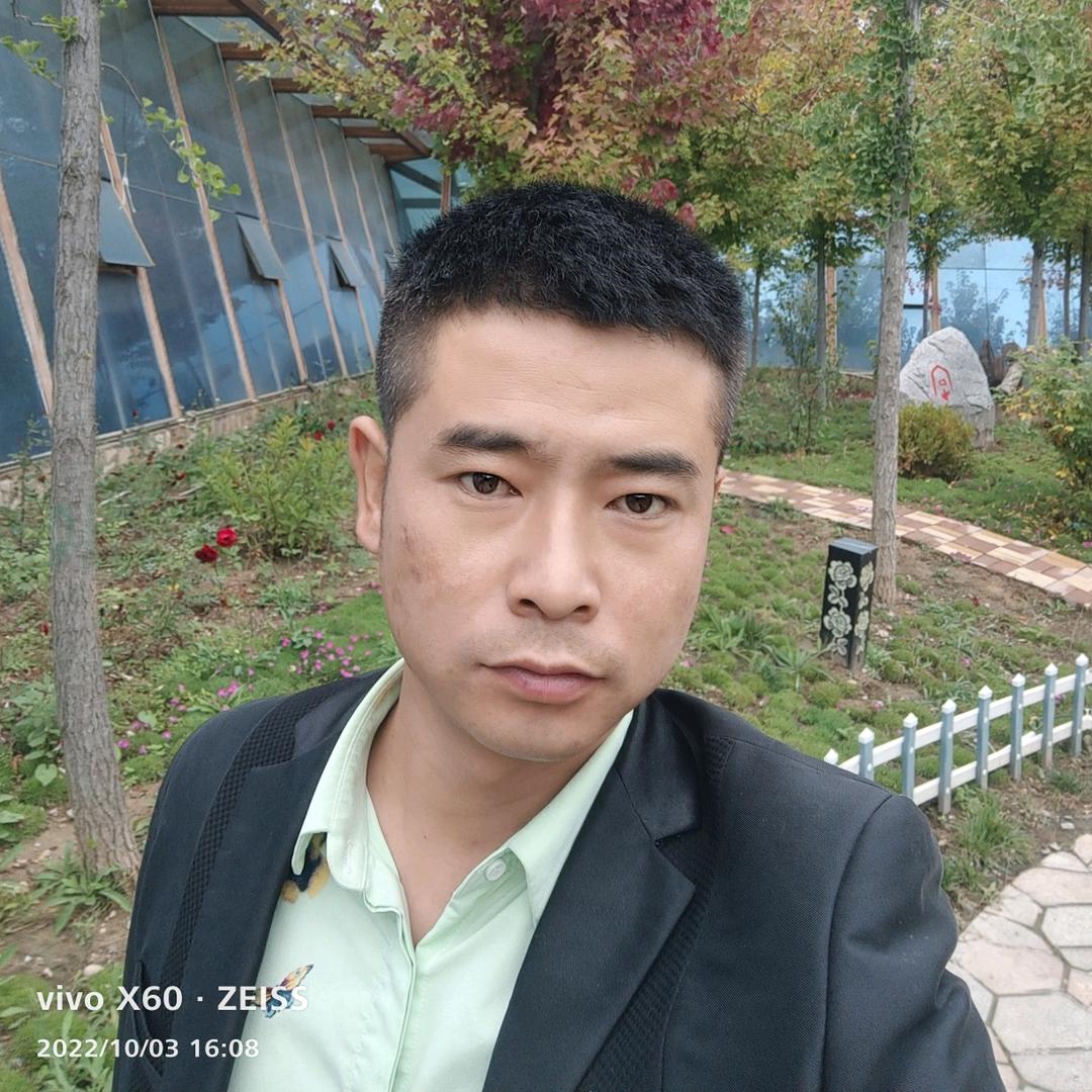 金鲤装饰_孟小超