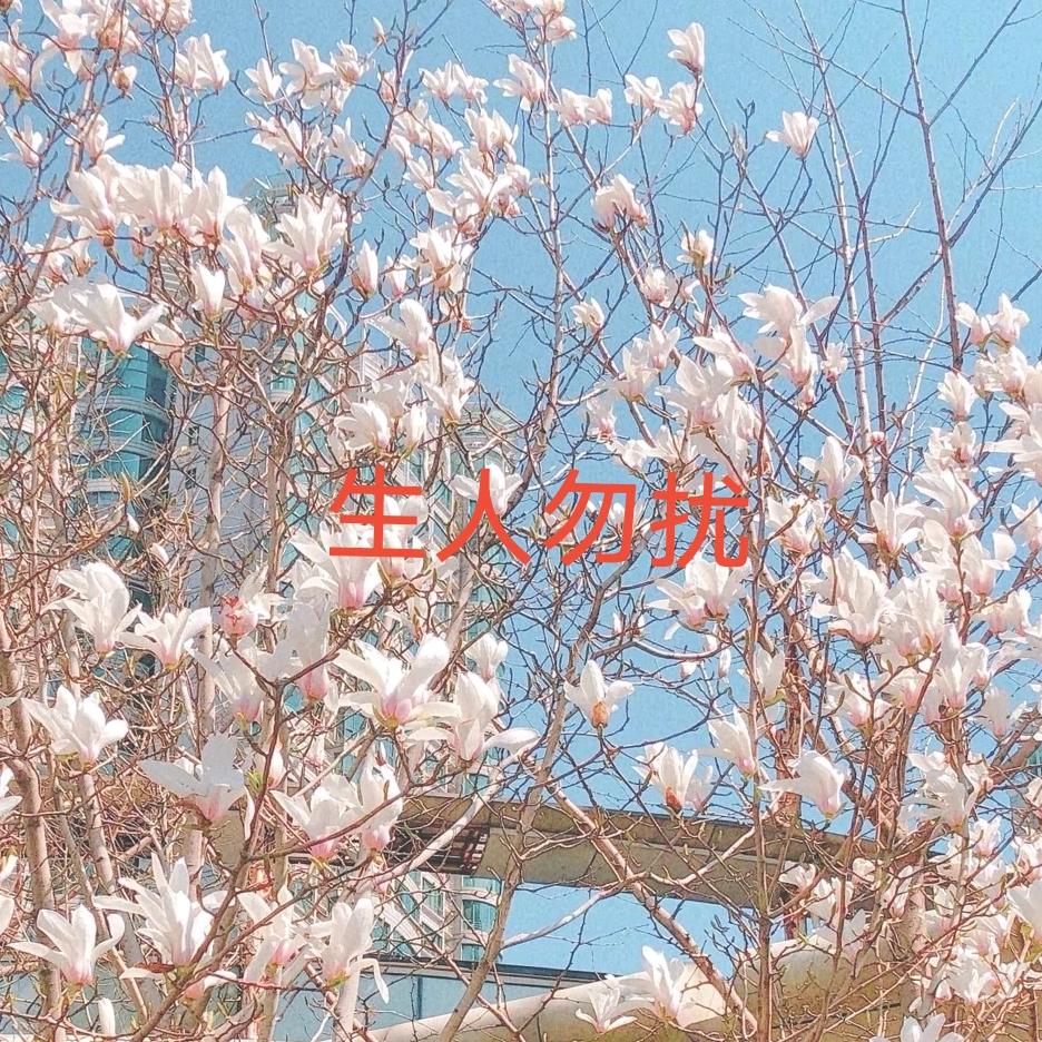 骤雨