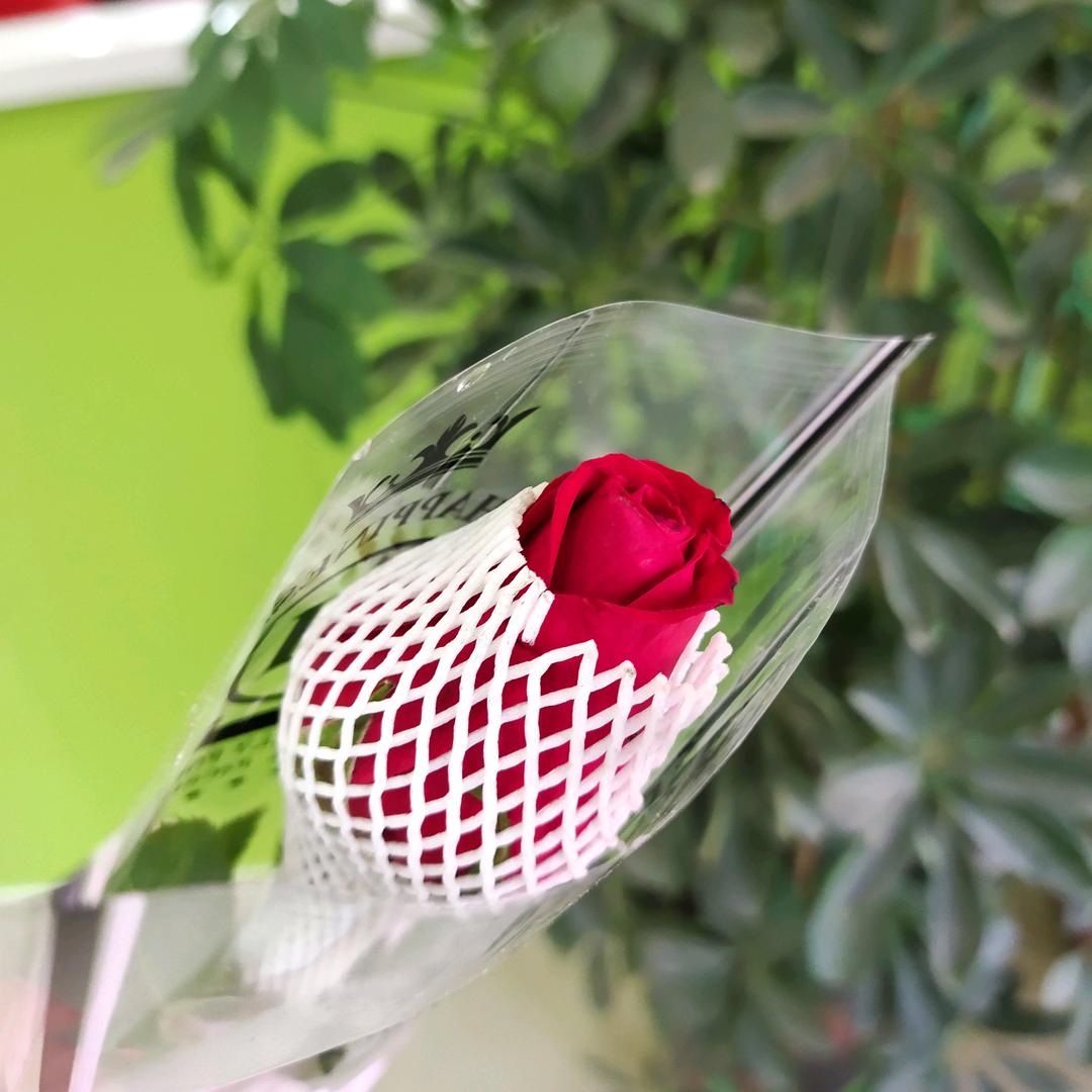 开心过好每一天……