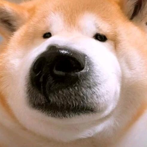 澜沧江