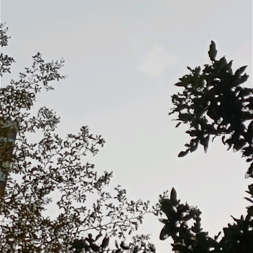 湖南赵绍吾