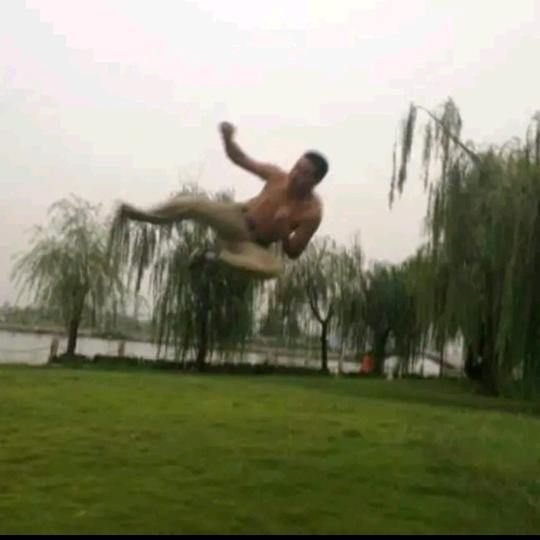 山东聊城龙康生态农业