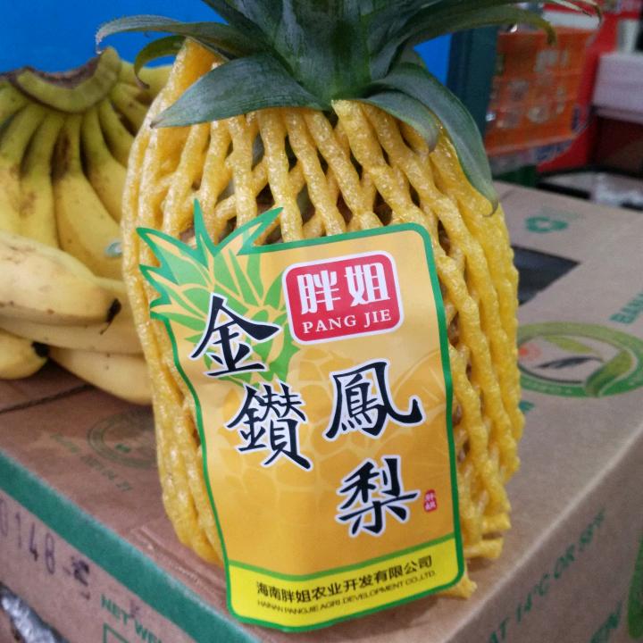 笵兆会