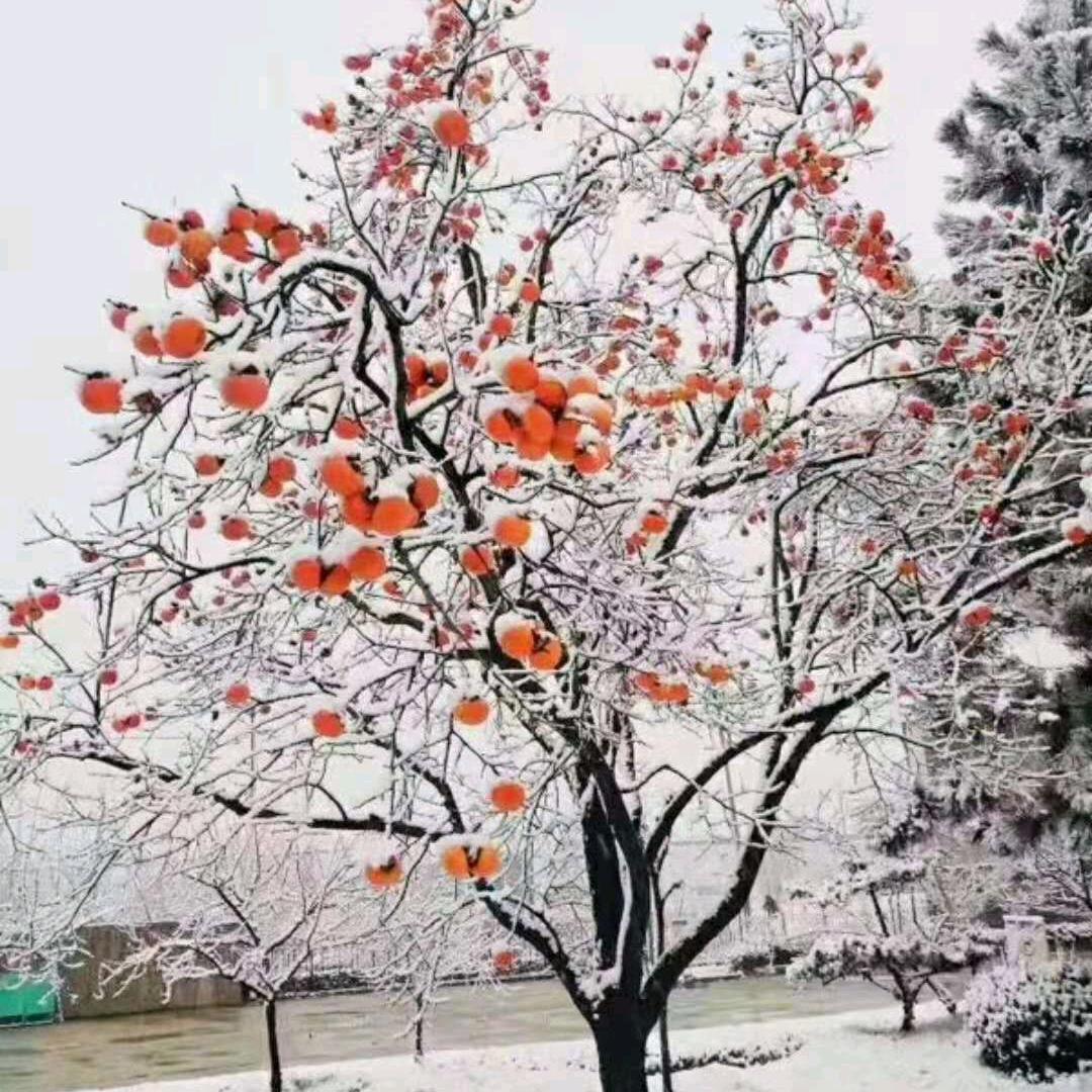 开心生活