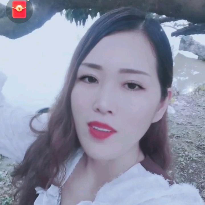 金叶