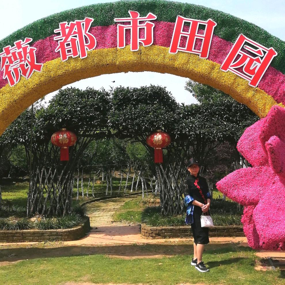 孤芳自赏