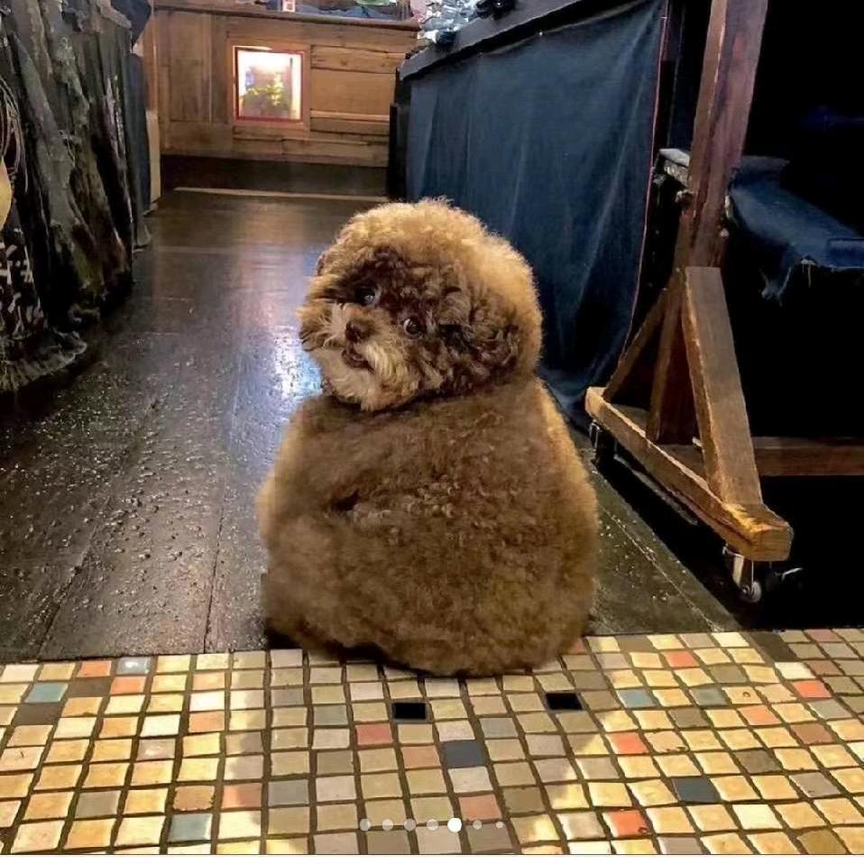 邂逅好运气‘’