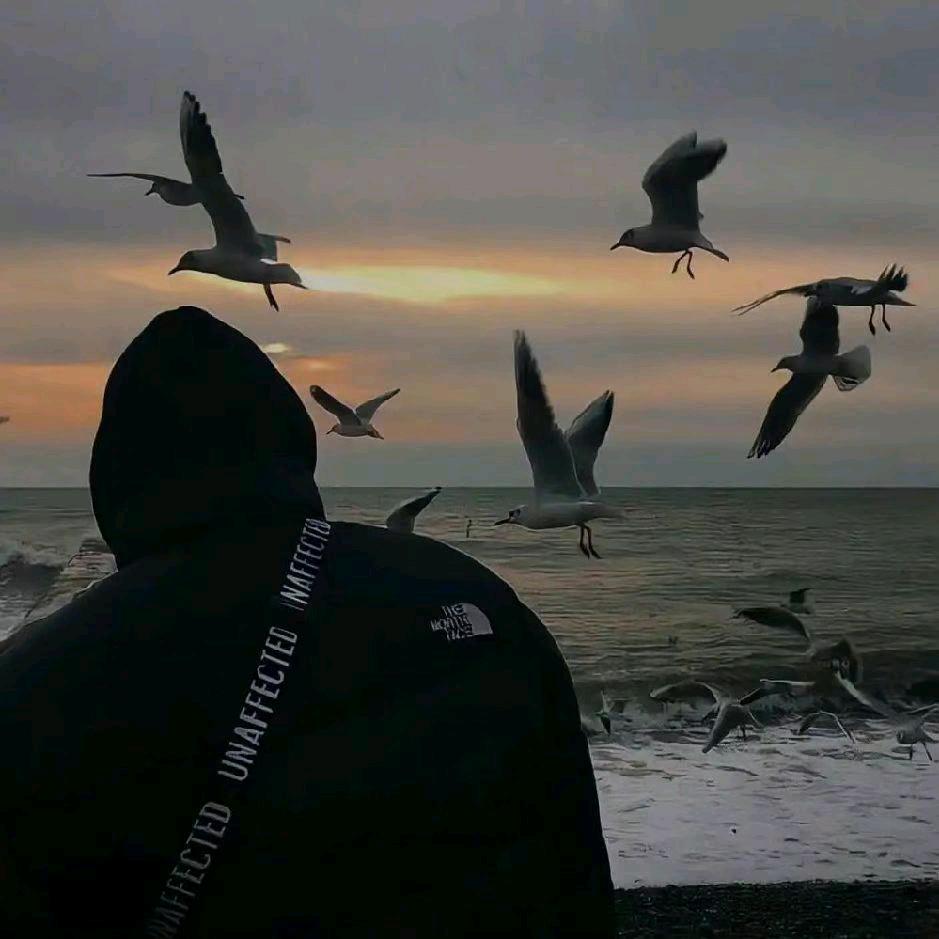 A浩然🔱