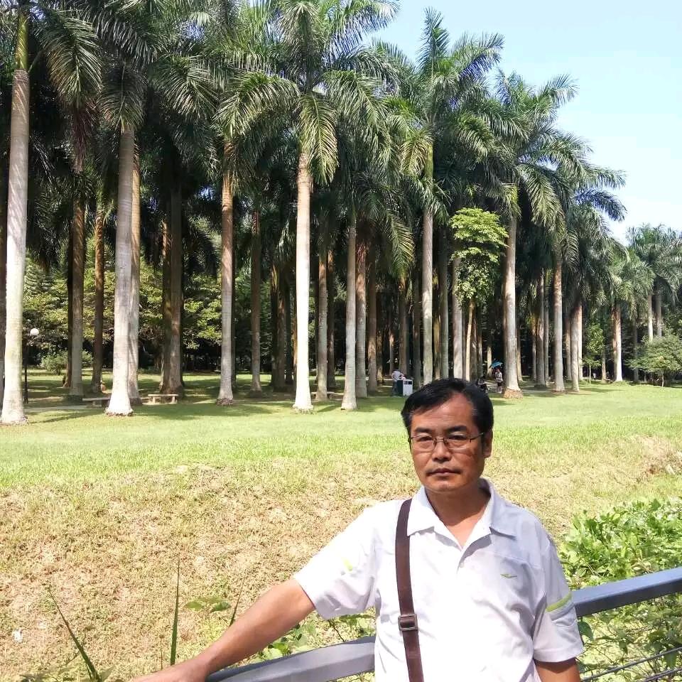 悠悠垂钓