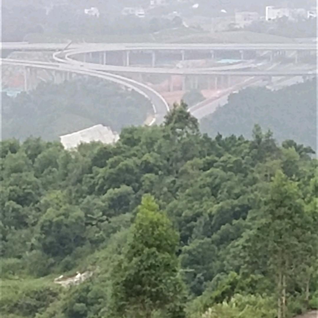 颜毅