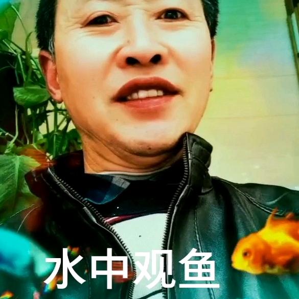 自强人儿倪二爷