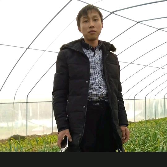 河南，西平，涛哥，💘💞