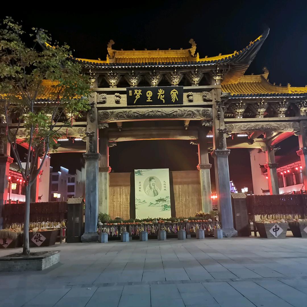两只猫咪的铲屎官
