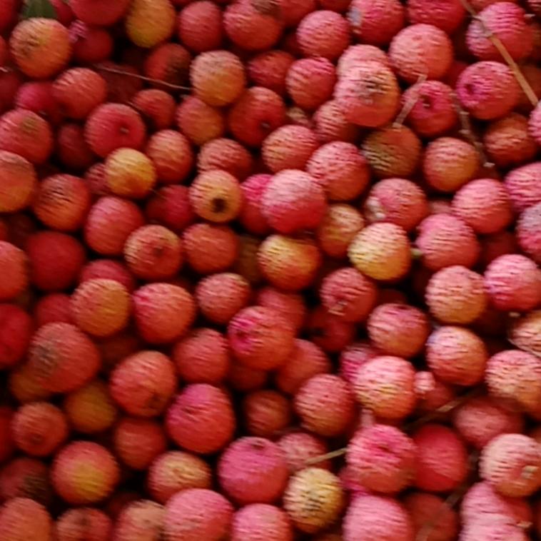 赖小惠
