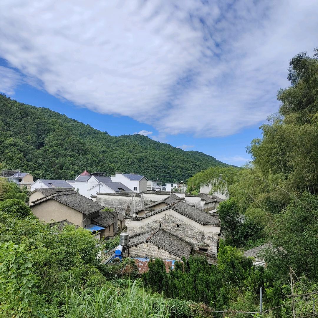 祁如春（祁门红茶）