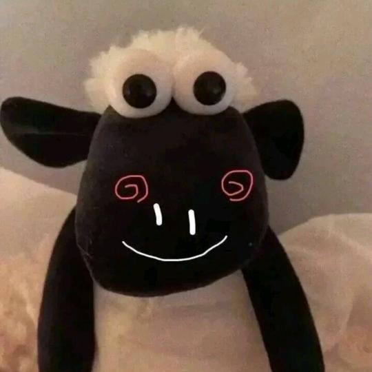 影.🌙