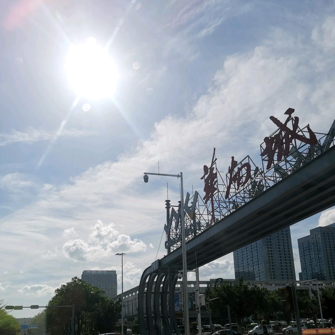 百龙Lin