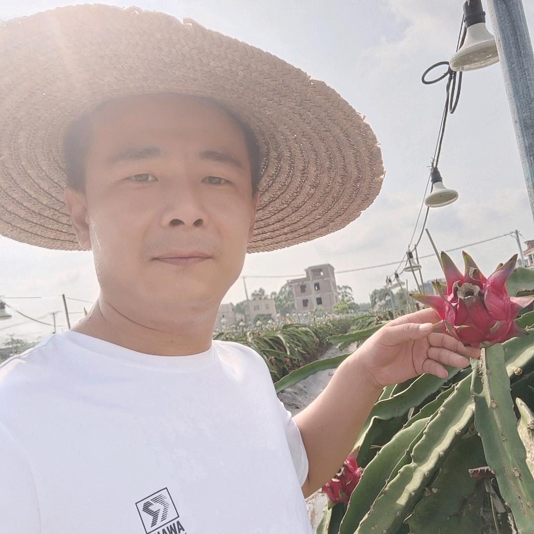 水果哥