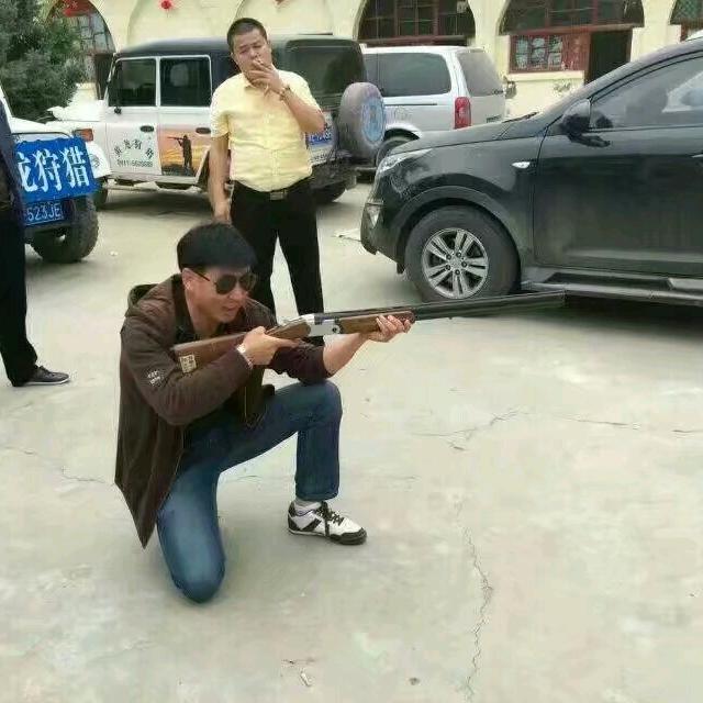 大漠孤雁