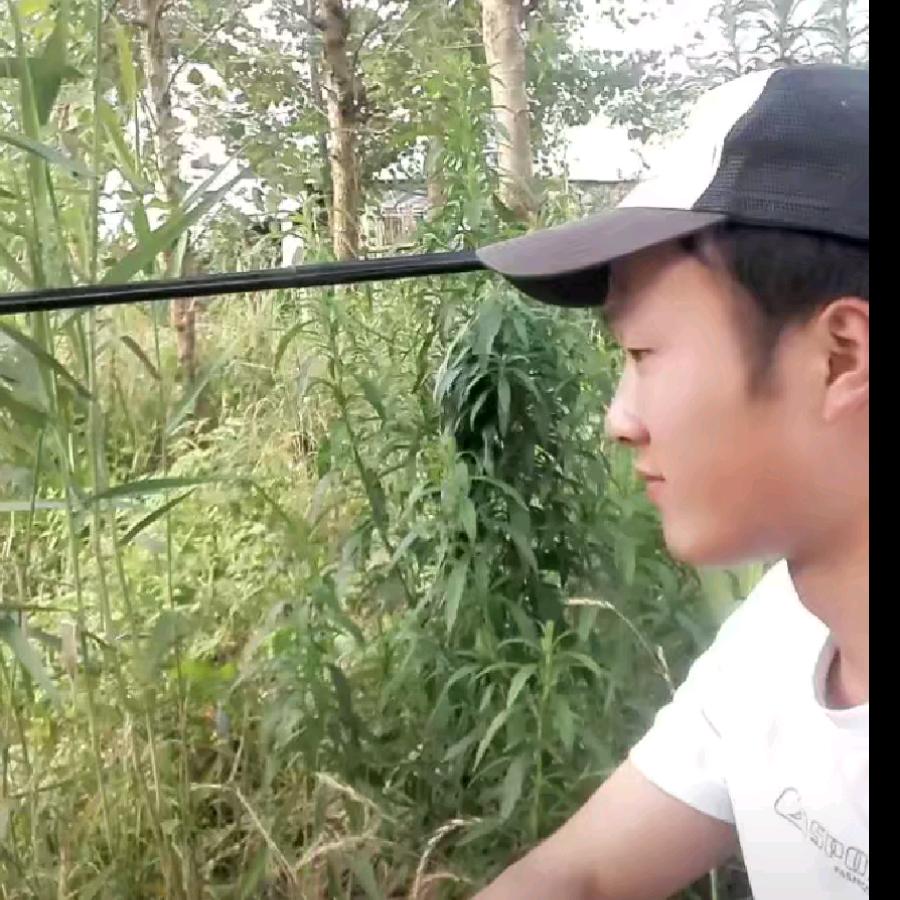 木&木