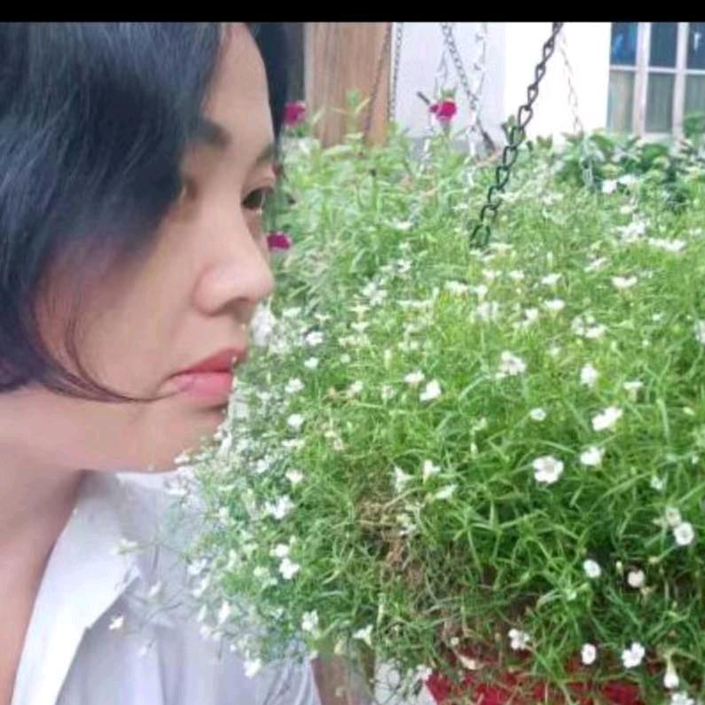 艳子