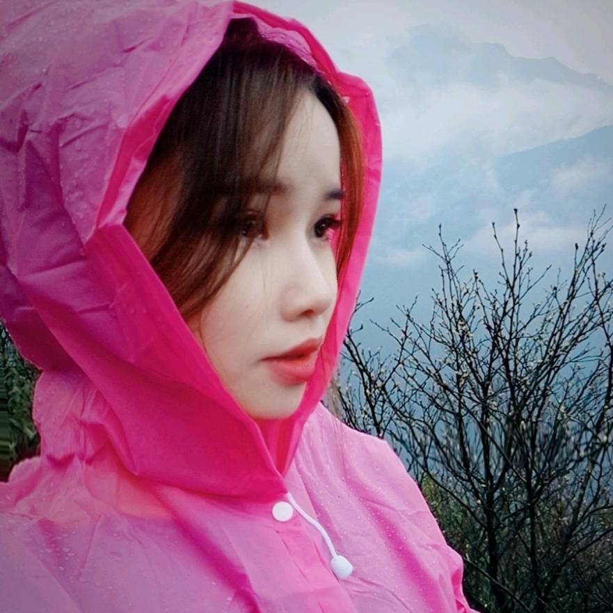 小凤♥
