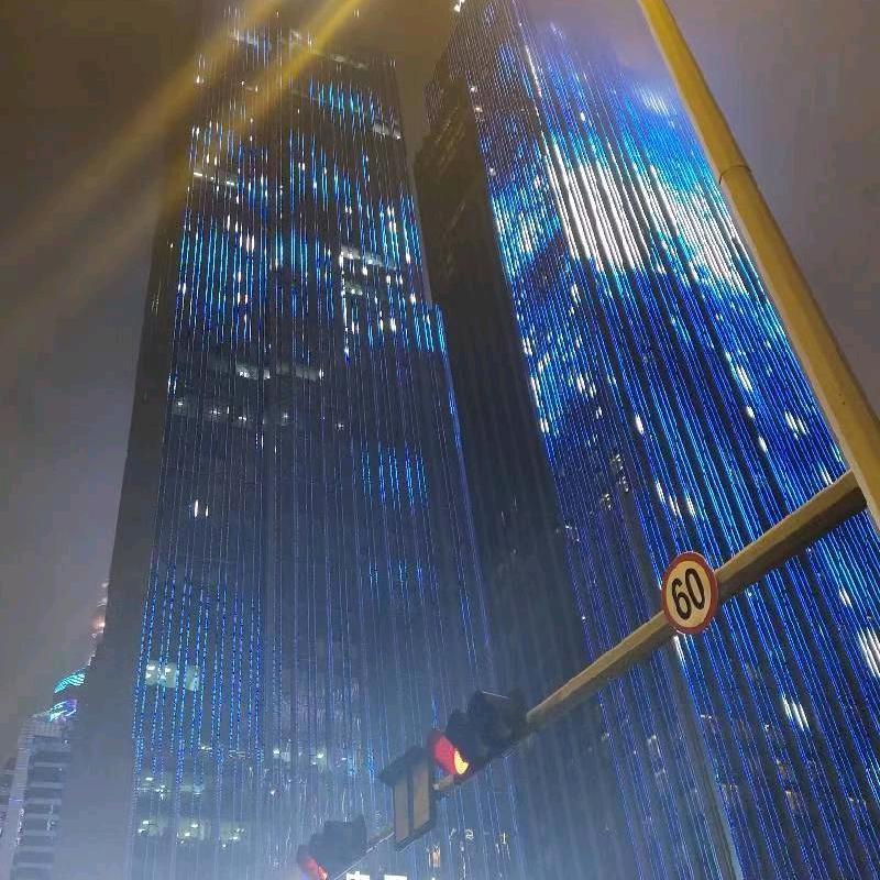 二手月季