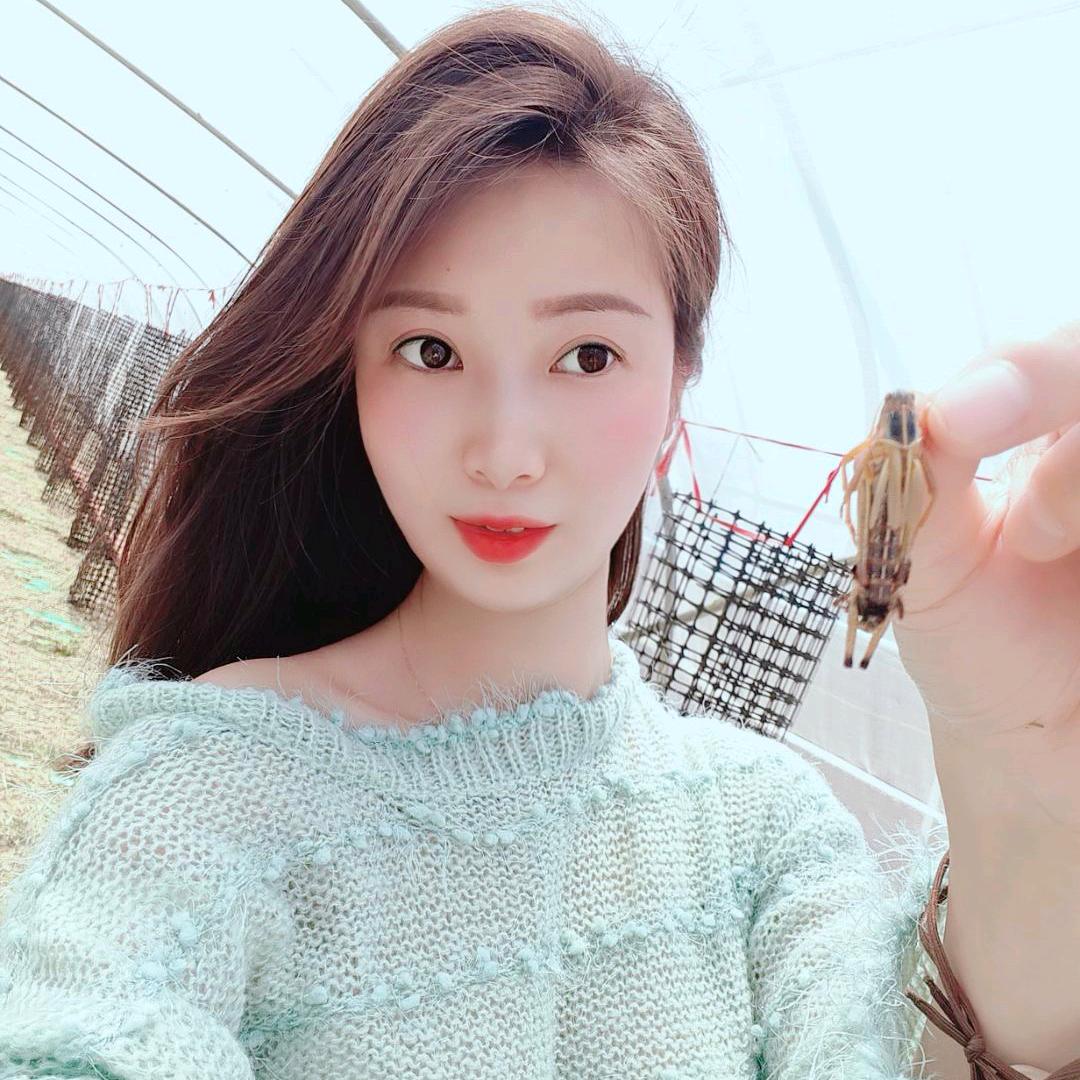 阜阳蚂蚱一姐