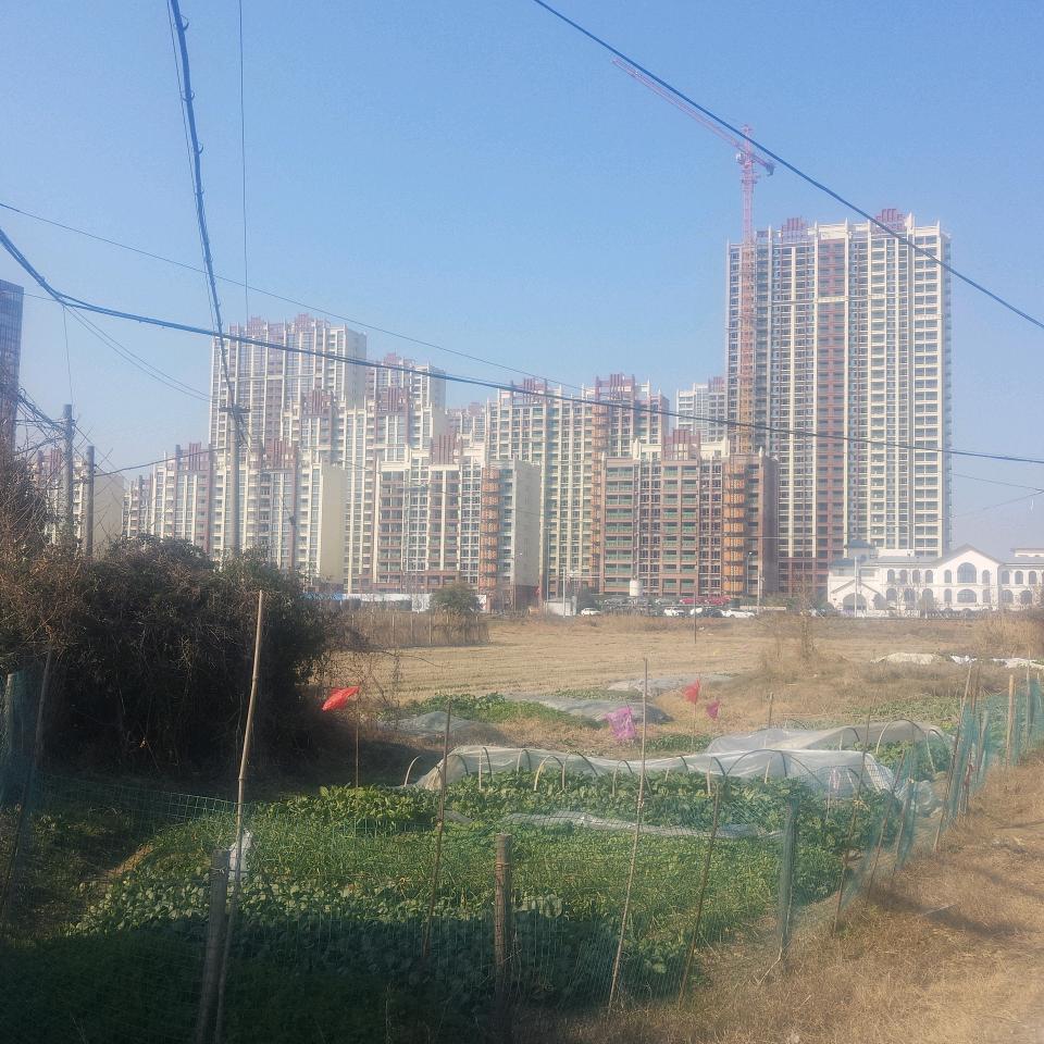 中国梦cArJ