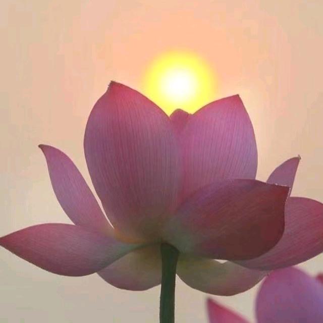 暖阳阳
