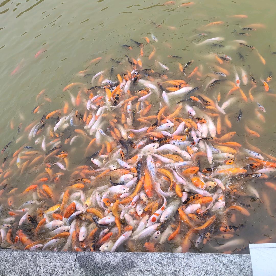 风雨过后总有彩虹