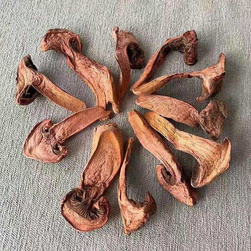 家里有爱，迎风招展的贾家