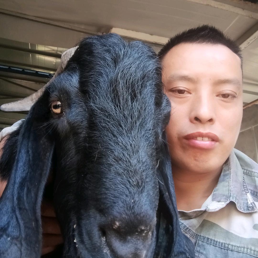 牧羊人:黄升宝