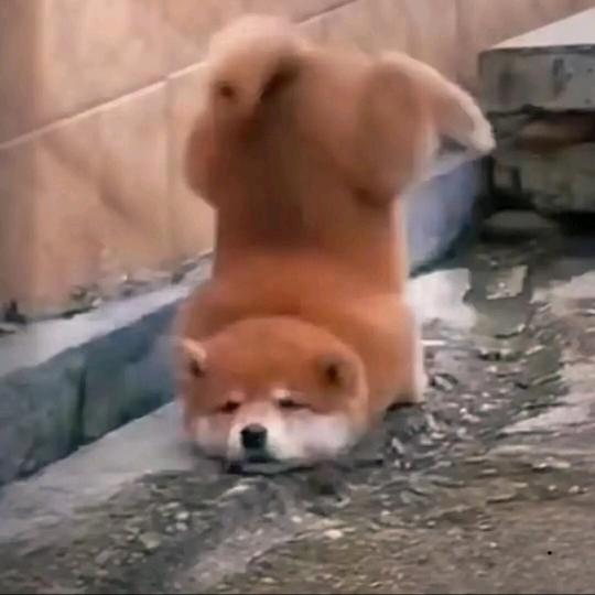 @欣儿👀