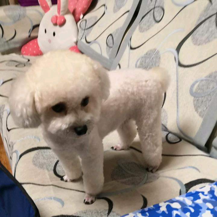 余生安好！