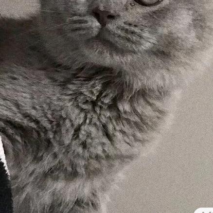 .s