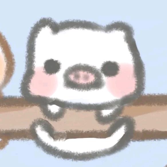 言小猪🐷