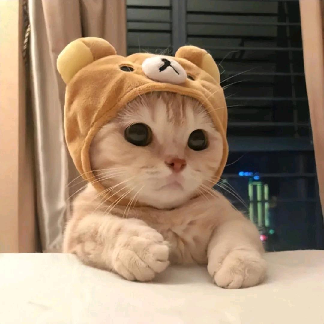 山月！