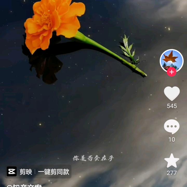 小秋秋