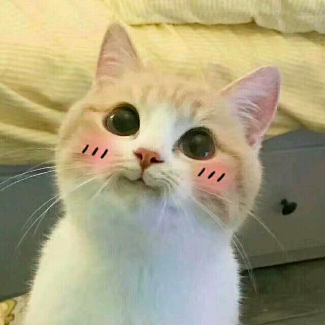 小小疯子