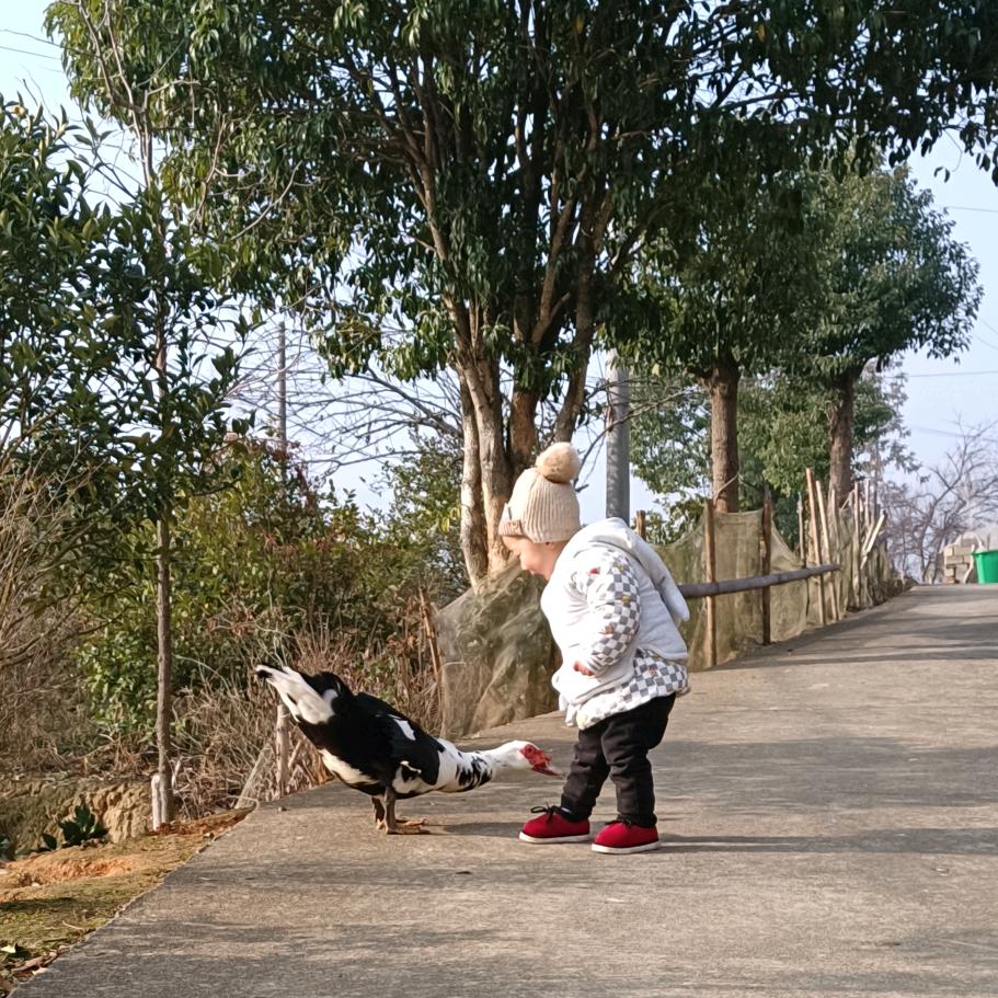 前敏